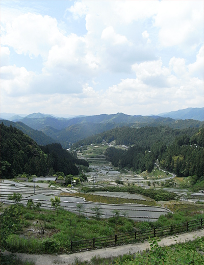 1005-30-05.jpg
