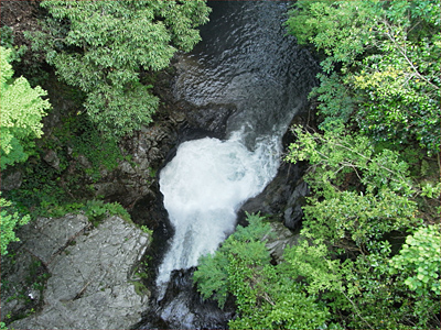 1005-30-09.jpg