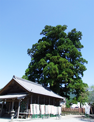 1009-04-07.jpg
