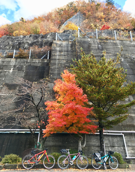 2018-11-10-08.jpg