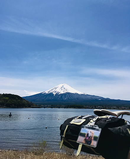 2019-04-28-16.jpg